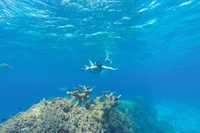 El Cielo and Snorkel Private Excursion - What’s Included on the Boat (And What You Should Bring)