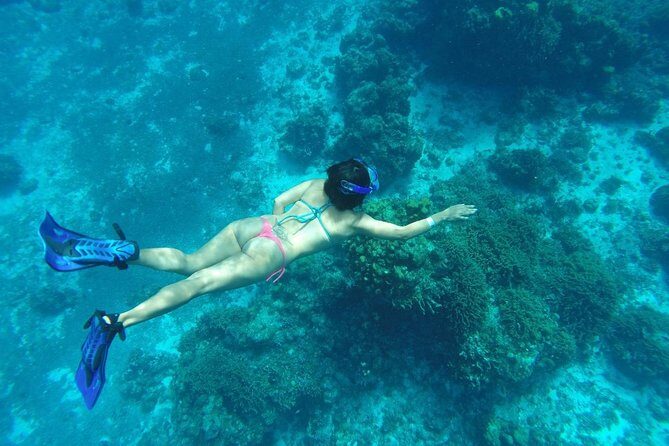 El Cielo and Snorkel Private Excursion - Price and Value: Is $750 Worth It?