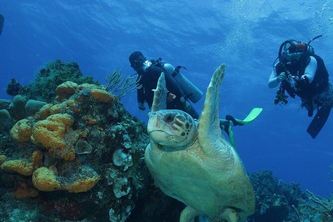 El Cielo Cozumel - Price and value: what $168 really buys you