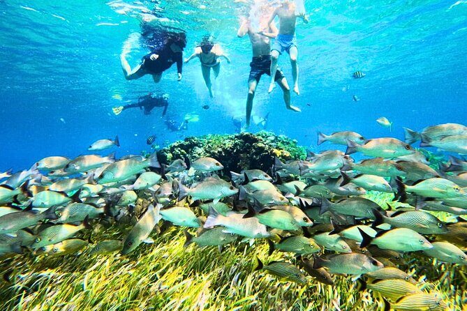 El Cielo Cozumel Snorkel Private Tour Big Group + Food Drinks - San Francisco Beach Club Start: The Meeting Point That Actually Feels Simple