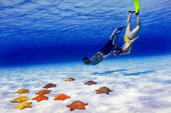 El Cielo Cozumel Snorkel Private Tour Big Group + Food Drinks - Palancar and Colombia Reefs: How You Get More Than One Kind of Snorkel Spot