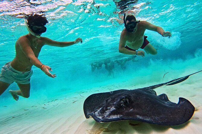 El Cielo Cozumel Snorkel Private Tour Big Group + Food Drinks - Playa El Cielo Cozumel: The Starfish-and-Sun Part of the Day