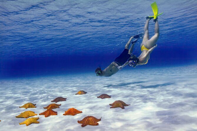 El Cielo Cozumel Snorkel Share Boat + Reefs + Food Drinks + Beach - Shared boat + speed: comfort, safety, and the seasickness factor