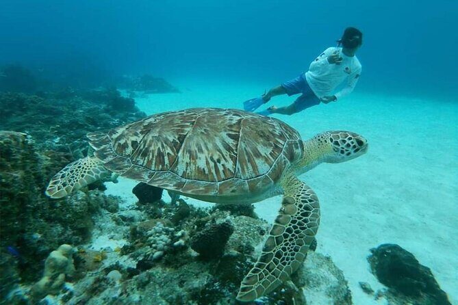 El Cielo Cozumel Snorkel tour by Catamaran - Turtle Bay and the “slow down and scan” moment