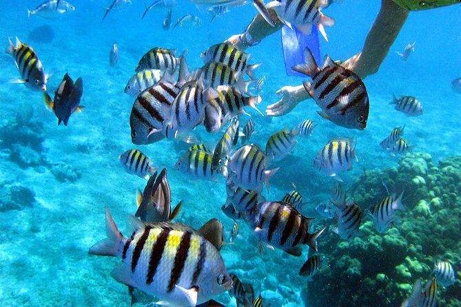 El Cielo Cozumel - Meeting point and pickup: the part that can make or break your day