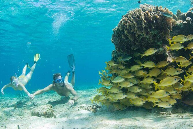 El Cielo Palancar and Columbia Snorkeling Tour - Boat Comfort, Safety Rules, and Why Coral Protection Matters