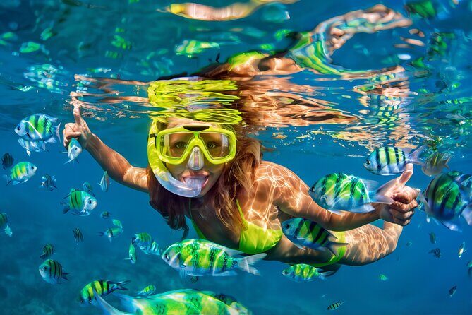 El Cielo Snorkeling Adventure in Cozumel - Key highlights you’ll care about
