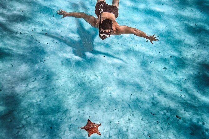 El Cielo Snorkeling Adventure in Cozumel - Getting started at Cozumel’s Muelle Centro: where you meet and how it flows