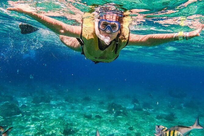 El Cielo Snorkeling Adventure in Cozumel - Columbia Reef (about 1 hour): drop-offs, caves, and the larger animals