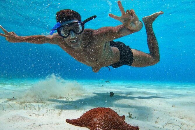 El Cielo Snorkeling Adventure in Cozumel - El Cielito near San Miguel de Cozumel (about 1 hour): gentler currents and great photo chances