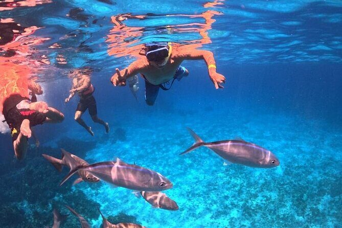 El Cielo Snorkeling Adventure in Cozumel - Boat size, safety feel, and getting in and out of the water