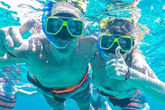 El Cielo Snorkeling Adventure in Cozumel - Palancar Reef (about 1 hour): coral gardens and the sea-turtle chance
