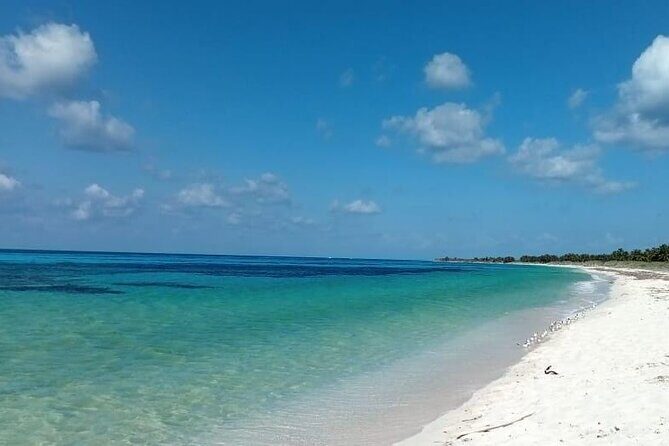 Electric Island Tour with Snorkeling, Lunch & Otoch Mayan Experience - Stop 3: Cozumel electric-car self-drive (pick your moments, not a set route)