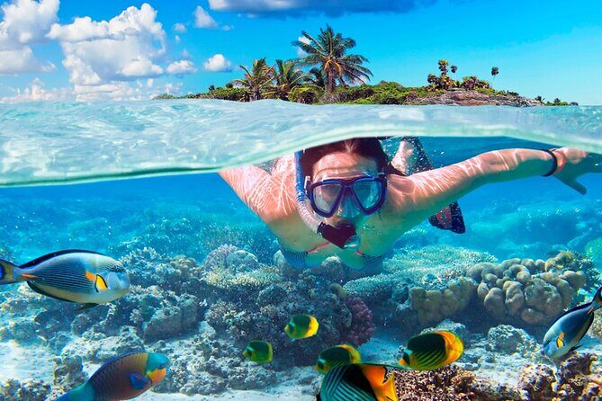 Electric Island Tour with Snorkeling, Lunch & Otoch Mayan Experience - Pickup, mobile tickets, and day-of sanity tips