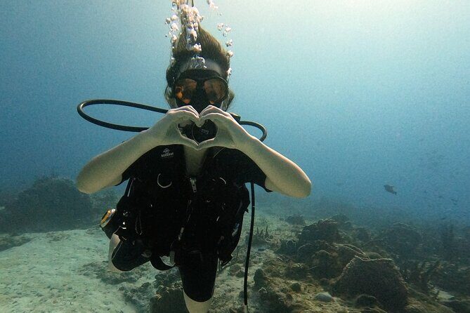 Enjoy two dives without previous experience with a boat trip - Key highlights to know before you go
