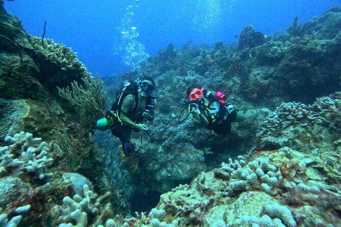 Enjoy two dives without previous experience with a boat trip - Cozumel National Park and the big-reef setting