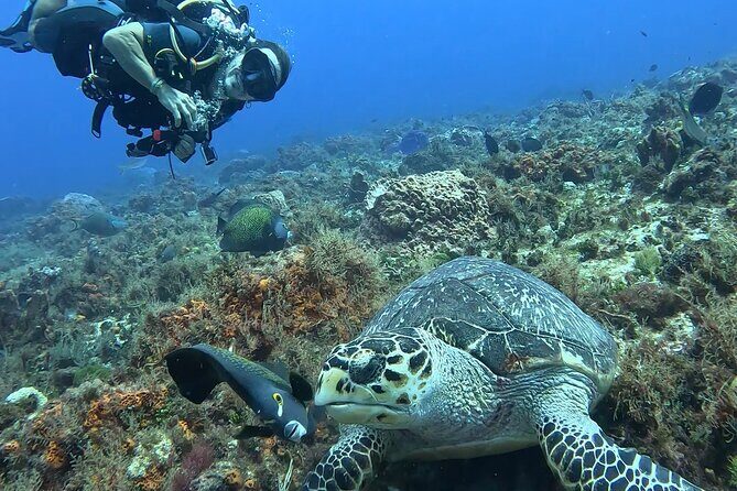 Enjoy two dives without previous experience with a boat trip - The meal break between underwater sessions