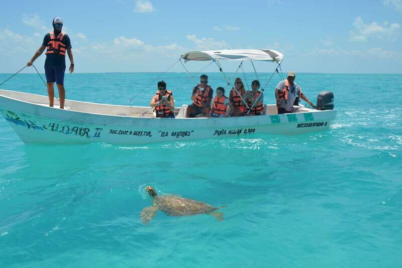 Exclusive Full Day Nature Expedition in Sian Ka'an - The mangrove boat cruise: wildlife viewing without the rush