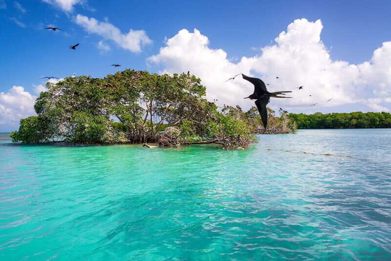 Exclusive Full Day Nature Expedition in Sian Ka'an - Coral reef snorkeling: what you’re really booking (and what weather can change)