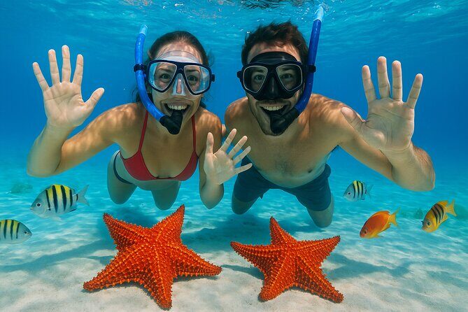 Exploration to El Cielo and Reefs: Live up close with stars - A 4.5-Hour Cozumel Snorkel Route That Makes Wildlife the Main Event