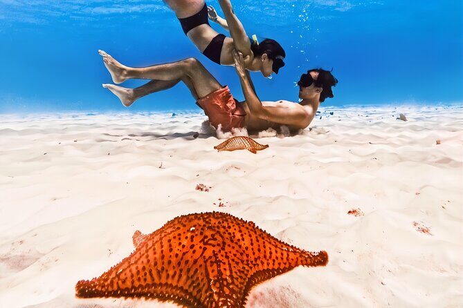 Exploration to El Cielo and Reefs: Live up close with stars - Stop 1: Cozumel + Columbia Reef, the First Real Snorkel Moment