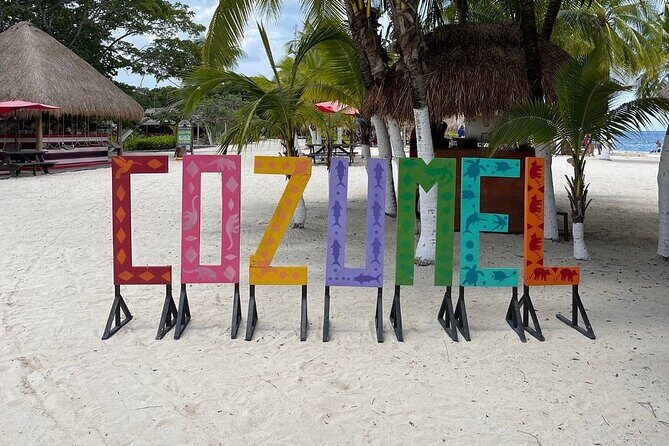 Explore Cozumel on a Buggy: Tour Around the Island! - Price and the Real Total: The $49 Base vs. Mandatory Tax