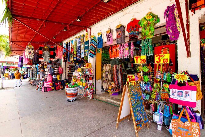 Explore Cozumel your Way Private Island Tour with Pro Guide - Who this private tour fits best