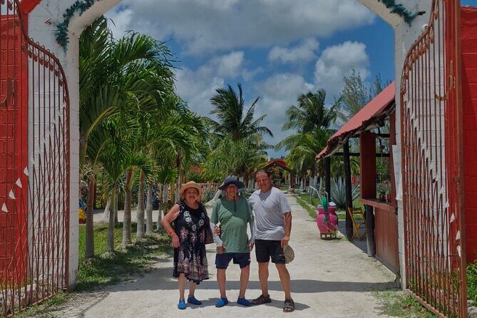 Explore the beaches of Cozumel Mexico by private transportation - Mexican tacos during the drive: fueling the day right