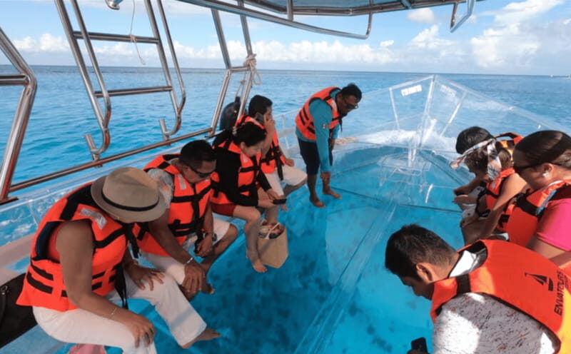 Explore the sea of cozumel in a transprent boat with drinks and snorkel. - The Shipwreck and Reef Mix: What You’re Really Paying For