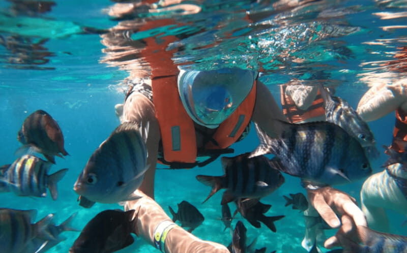 Explore the sea of cozumel in a transprent boat with drinks and snorkel. - Snorkeling at the LEGO Artificial Reef: Optional, But the Point