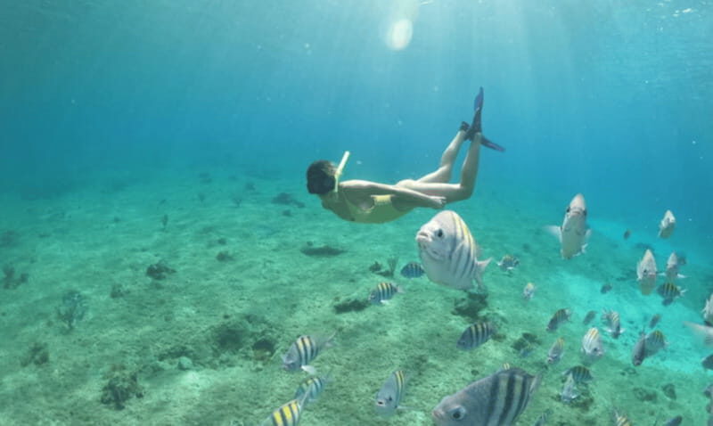 Explore the sea of cozumel in a transprent boat with drinks and snorkel. - Price and Value: Does $44 Actually Make Sense?