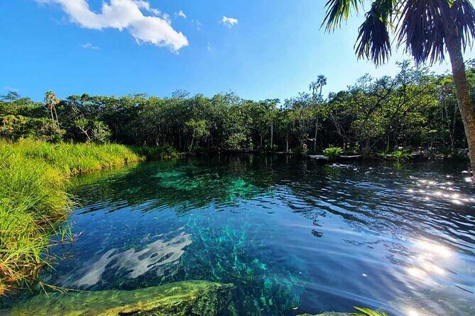 Explore Tulum Tour to Cenote and Ruins - Stop 3: Tulum downtown shops (1 hour, no admission charge)