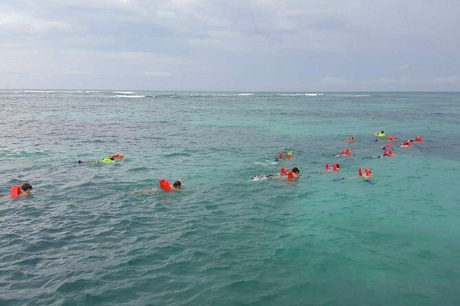 Fantastic Day Isla Mujeres Unlimited Catamaran from Riviera Maya - Price and Real-World Value: Is $89 a Good Deal?