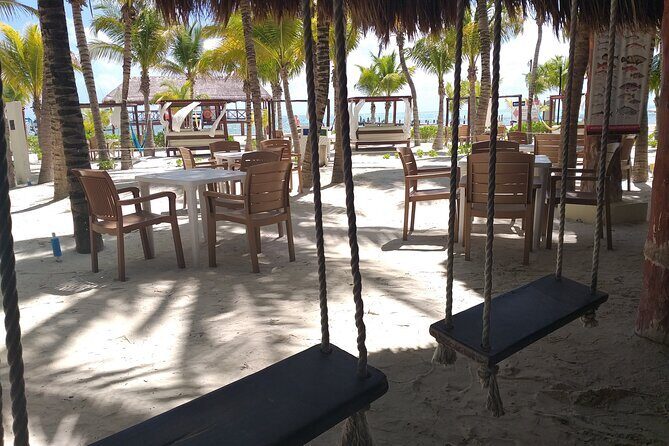 Fascinating beach club at Riviera Maya, full day pass with transport included - Timing, pickup, and the simple logistics that matter