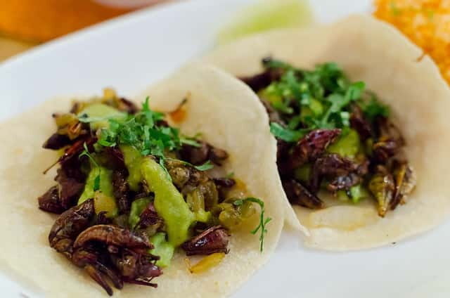 Food Hoppers 2.5-Hour Tour in Playa del Carmen - Meeting Point on 5ta Avenida: Finding Panda at 5:00 PM