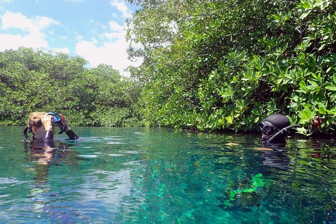 Freediving Intro for Beginners in a Cenote in Tulum Mexico - In the Water: A Controlled Start Then Gradual Progress
