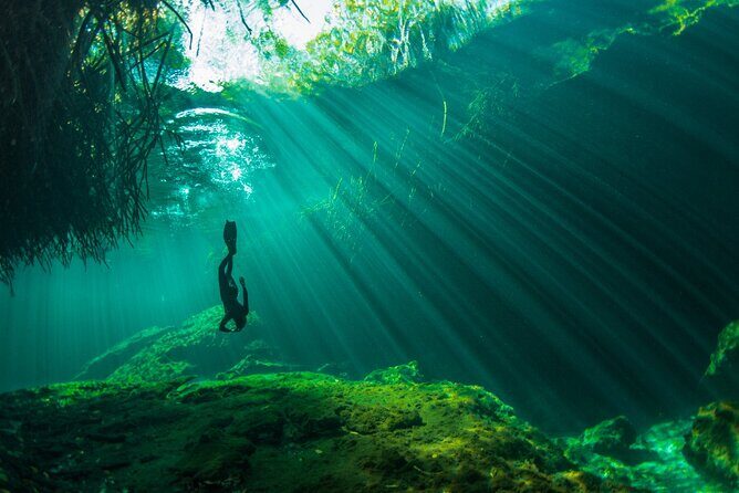 Freediving Intro for Beginners in a Cenote in Tulum Mexico - The Instructor Factor: Why Esteban’s Coaching Gets Mentioned