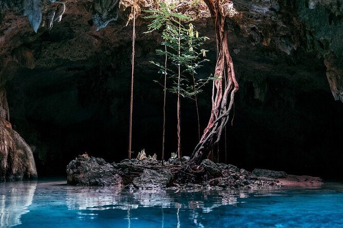 From Playa del Carmen Tour Tulum Adventure - Tulum Archaeological Zone: temples by the sea, plus Mayan meanings