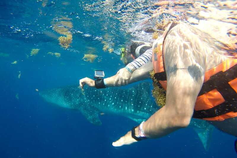 From Playa del Carmen: Whale Shark Tour - Isla Mujeres Playa Norte Lunch: A Much-Needed Reset