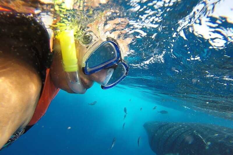 From Playa del Carmen: Whale Shark Tour - Packing Like a Local: Sun, Comfort, and Water Time