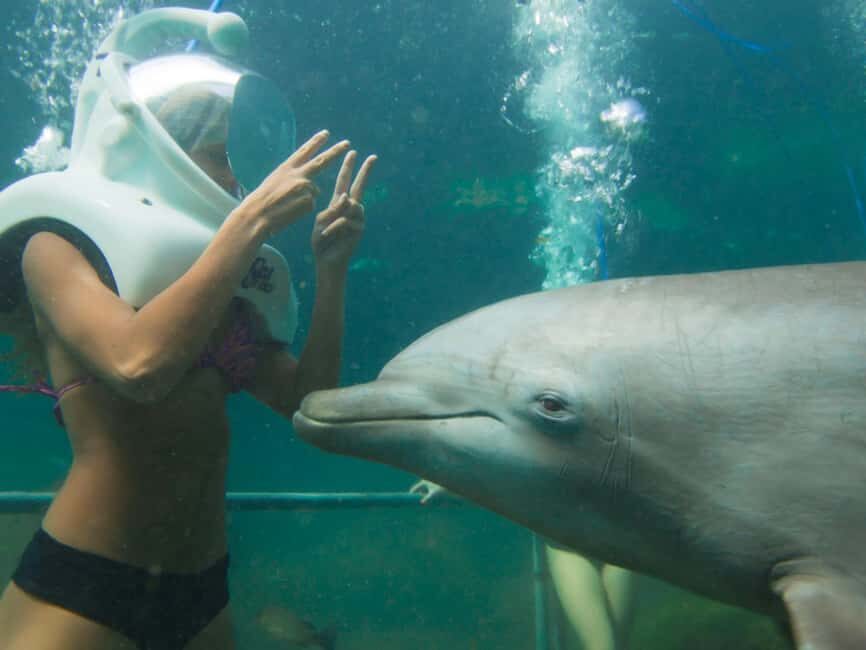 From Playa del Carmen: Xel-Há All-Inclusive Park - Food and Drinks: The All-Inclusive That Actually Covers Your Day