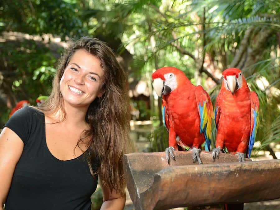 From Riviera Maya: Complete Combo to Xcaret Park! - Key Things I’d Bet on at Xcaret