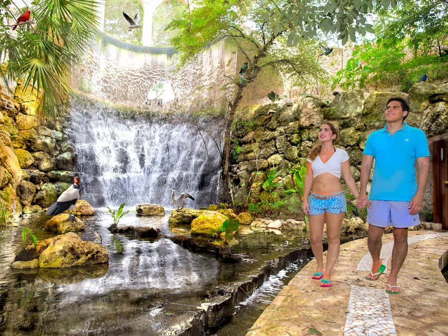 From Riviera Maya: Complete Combo to Xcaret Park! - Price and Value: When the Plus Option Makes Sense