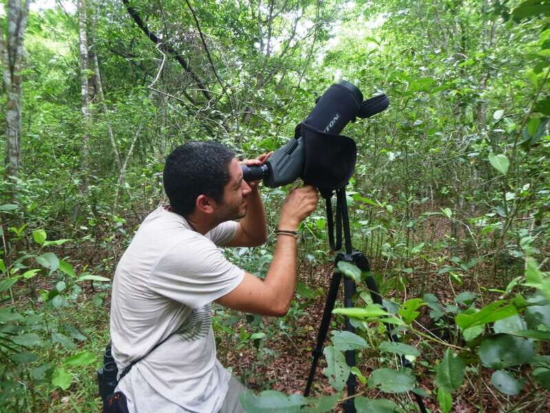 From Riviera Maya : Sian Ka'an Muyil Birdwatching with Guide - Breakfast at 9:00: fuel without breaking the rhythm