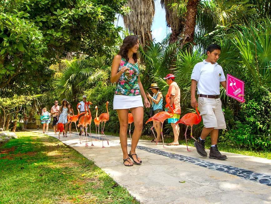 From Riviera Maya: Xcaret Park All-Inclusive - The Water Zone: Beaches, Natural Pools, and Real Chill Time
