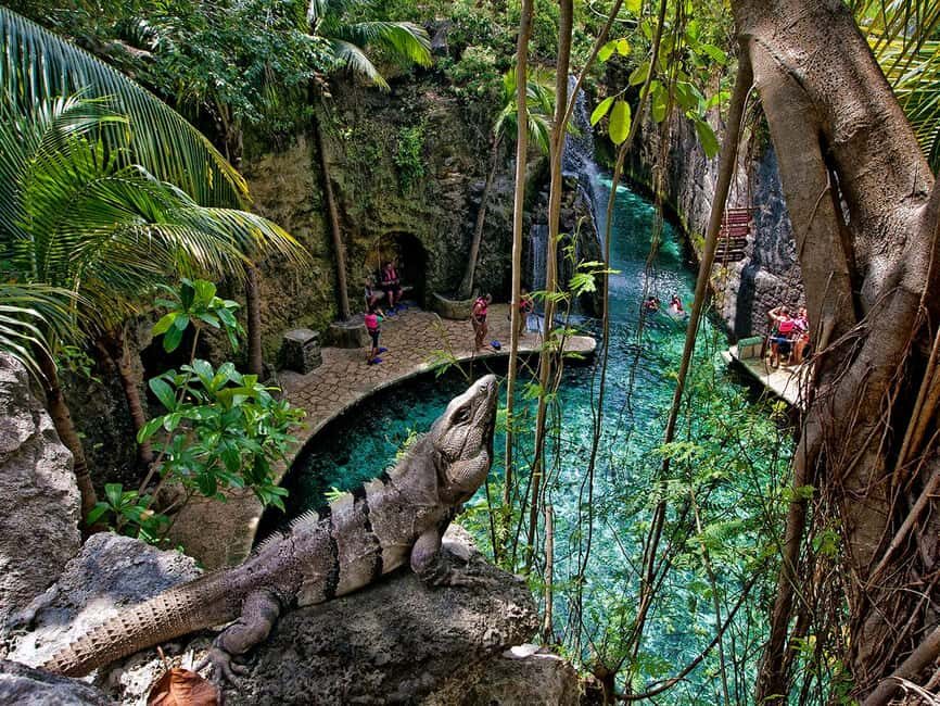 From Riviera Maya: Xcaret Park All-Inclusive - Snorkeling, Fins, and the Reef Aquarium Stop