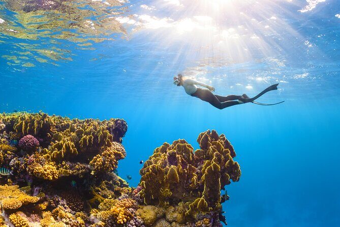 Full-Day ATV + 4 Ziplines + Cenote Swim + Yalkú Snorkeling - The Mayan ceremony and the cenote as a portal