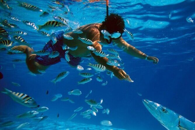 Full-Day Catamaran Cozumel Tour with Sky Snorkeling - Key Highlights You Can Plan Around