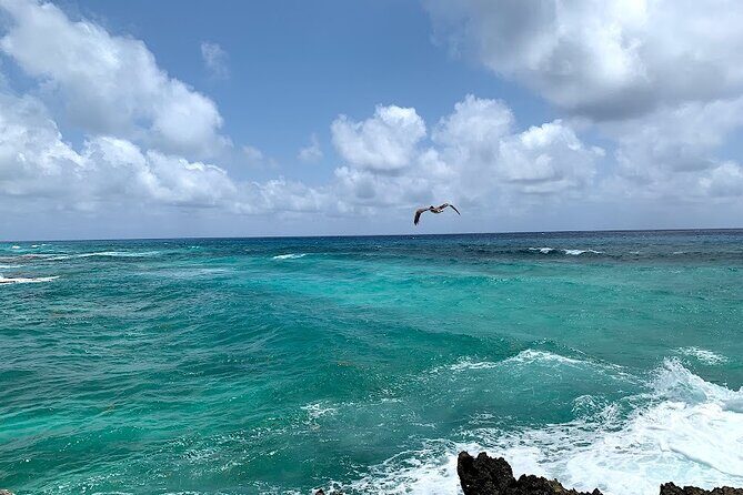 Full-Day Catamaran Cozumel Tour with Sky Snorkeling - A Cozumel Day That Moves, Not Wanders