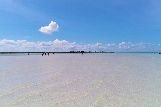 Full Day Excursion to the Best of Holbox From Riviera Maya - Punta Mosquito: Your 45-Minute Swim and Food Break